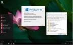 Microsoft Windows 10 Enterprise 14316 rs1 x86-x64 RU Micro v2