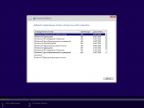 Windows 10 Version 1607 AIO 10in1 by karasidi