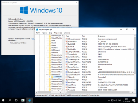 Windows 10 Multiple v1607 x64    10.0.14393.351