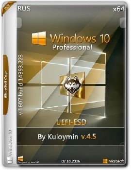Windows 10 Pro by kuloymin v.4.5 (UEFI-esd)