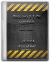 Windows 8.1 Pro Update 1 x64 v.20.06.14 by Gemini [Ru]