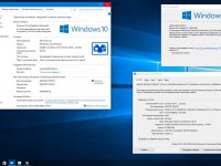 Windows 10 Professional vl x86-x64 1607 RU by OVGorskiy 03.2017 2DVD