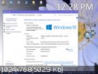 Windows 10 Home.V.318 (Pedantic User)(x64)
