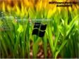 Windows 7x64 Ultimate KottoSOFT