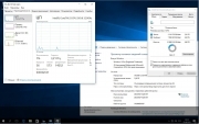 Microsoft Windows 10 Pro 14393.103 x86-x64 RU BOX-PIP