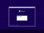 Windows 10 Redstone 2 [14901.1000] (x86-x64) AIO [28in2] adguard (v16.08.12)