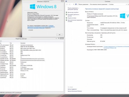 Windows 8.1 Pro (32-64bit) AIO by SLO94 v.20.09.16 [Ru]