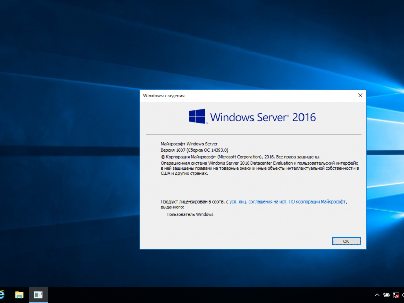 Windows 14393 14. Win Server 2016 без корзины.