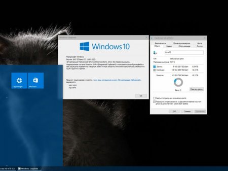 Windows 10 Pro x64 1607(14393.222) (for-SSD) v5 Xalex
