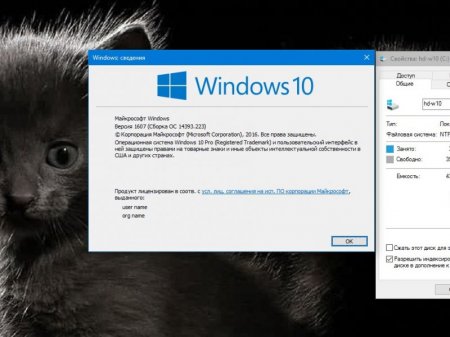Windows 10 Pro x86 1607(14393.223) (for-SSD) v5 xalex
