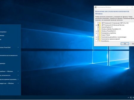 Windows 10 Enterprise 2016 LTSB 14393.479 x86-x64 RU PIP 2x1