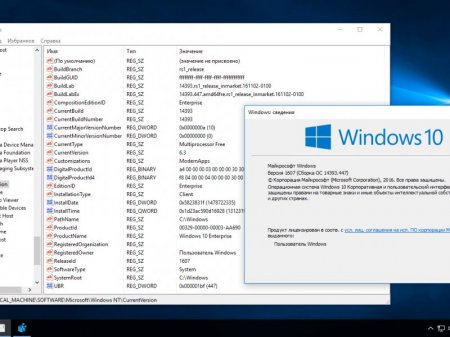 Windows 10 Enterprise v1607 x64 [Ru] 447 by molchel