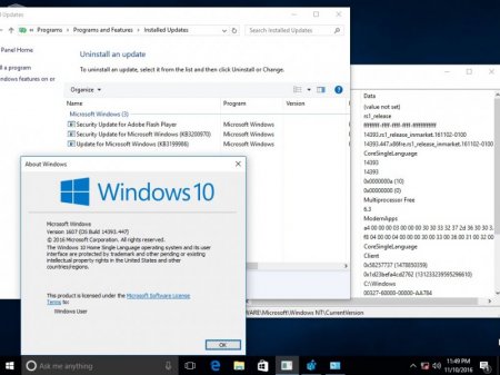 Windows 10 v1607 (14393.447) 18in1 by neomagic