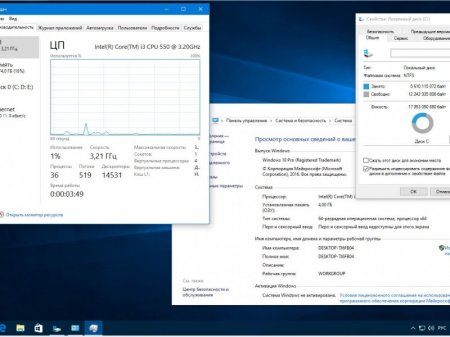 Windows 10 Pro 14393.479 rs1 x86-x64 RU-RU MINI