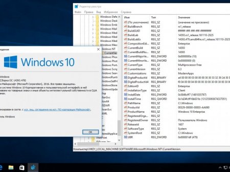 Windows 10 Version 1607 with Update [14393.479] (x86-x64) AIO [32in1] adguard (v16.12.06)