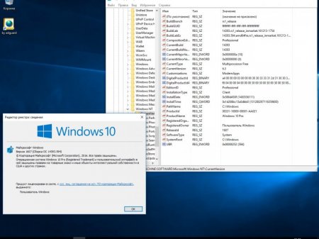 Windows 10 Version 1607 with Update [14393.594] (x86-x64) AIO [32in1] adguard (v17.01.04)