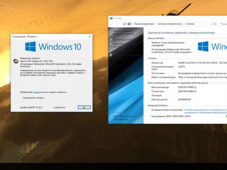 Windows 10x86x64 Education v.11.17