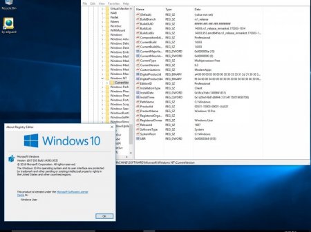 Windows 10 Version 1607 with Update [14393.953] (x86-x64) AIO [32in2]