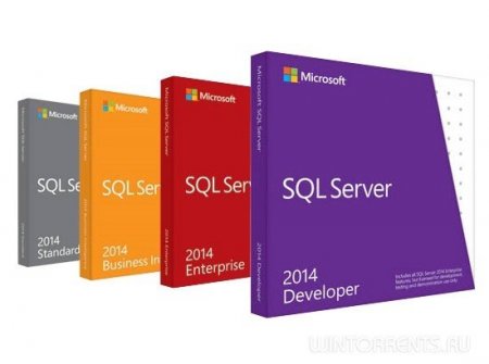 Microsoft SQL Server 2014 12.0.5000.0 [Service Pack 2] (x86-x64) (2016) [Rus/Eng]