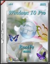 Windows 10 Pro + BootPe x64 mini RUS